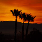 sunset in brea california